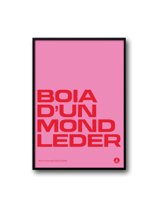 BOIA D'UN MOND LEDER