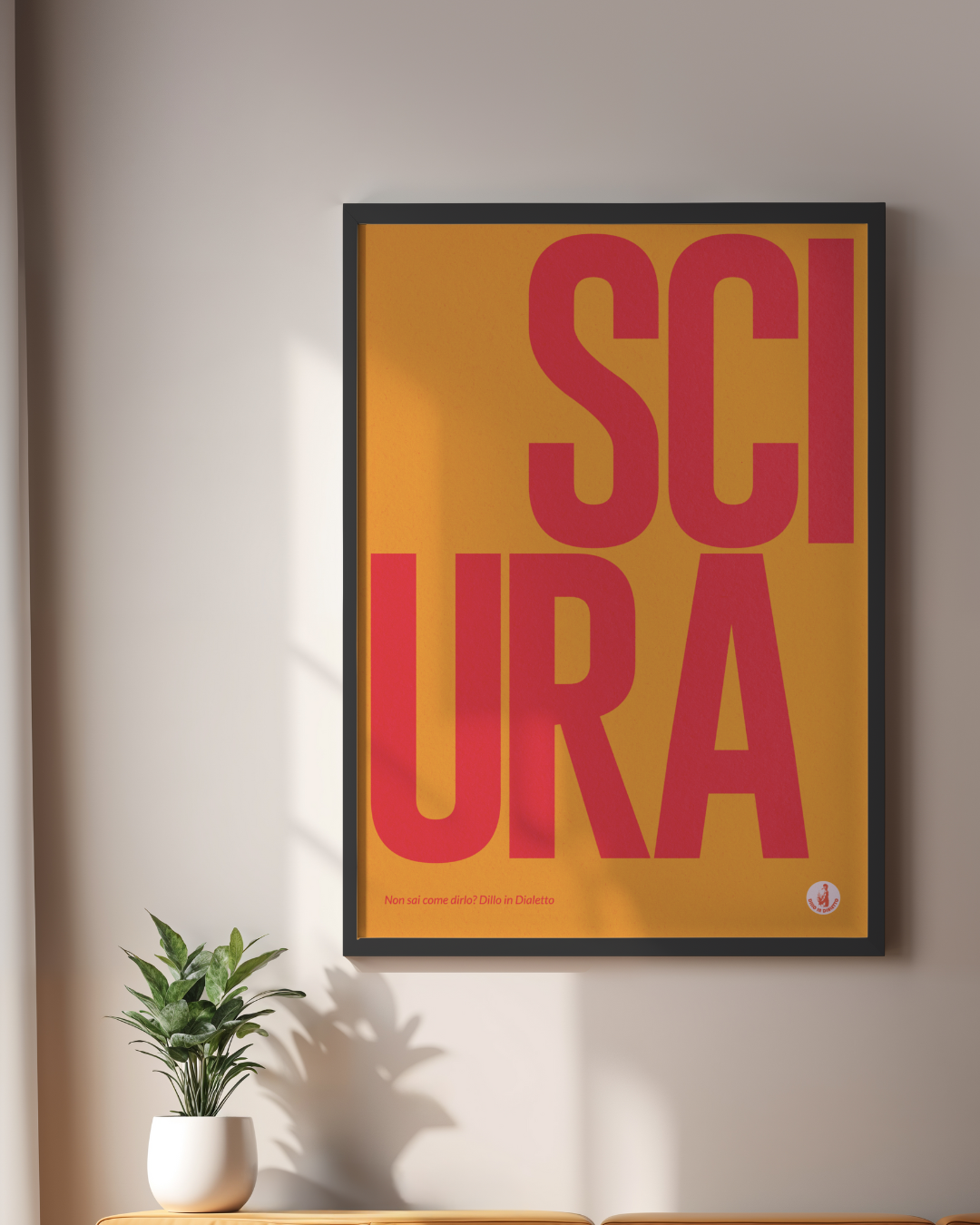 SCIURA