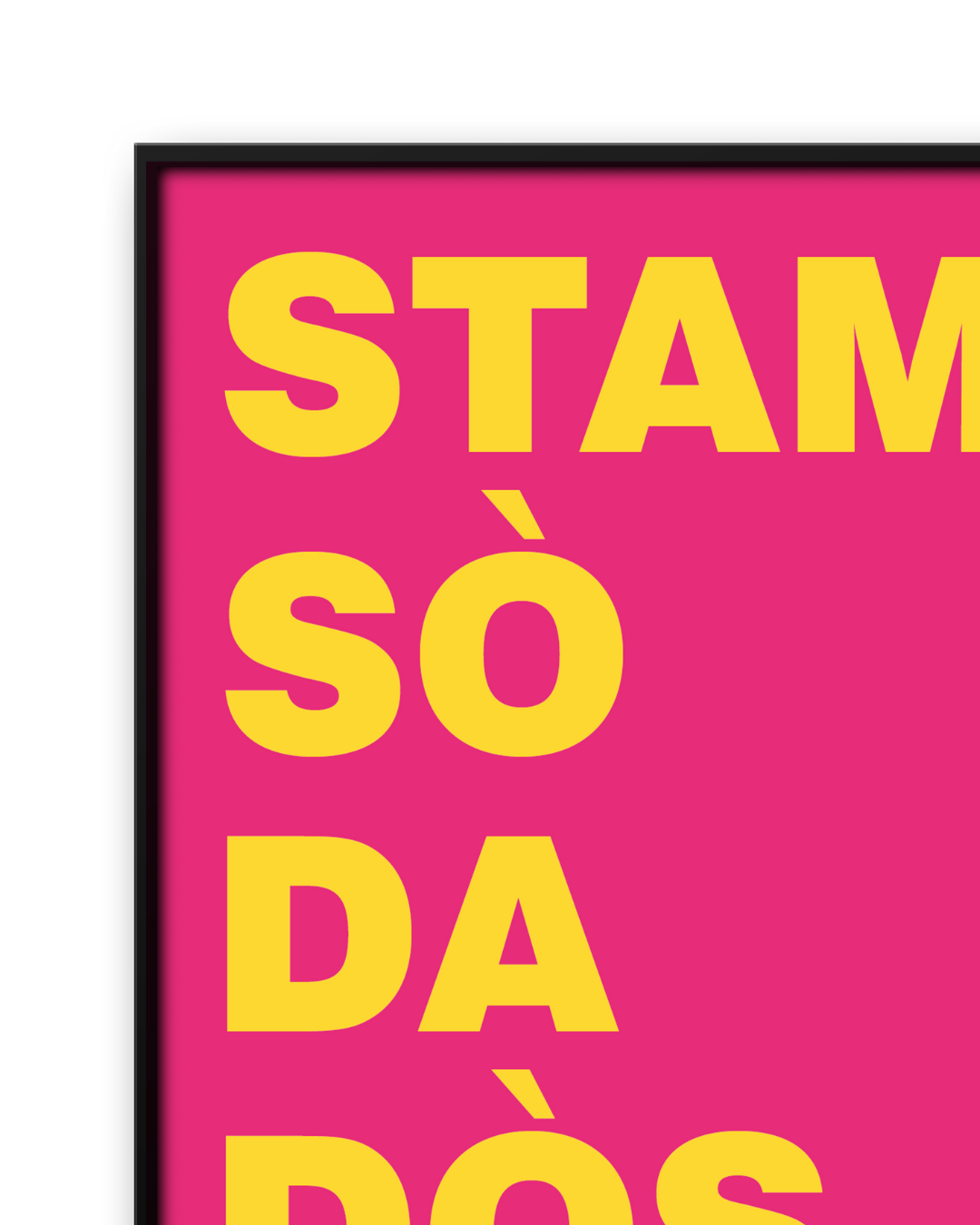 STAM SO