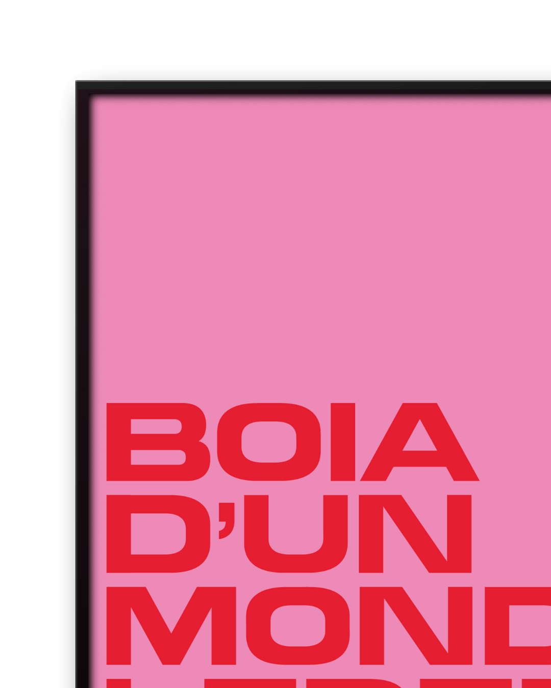 BOIA D'UN MOND LEDER