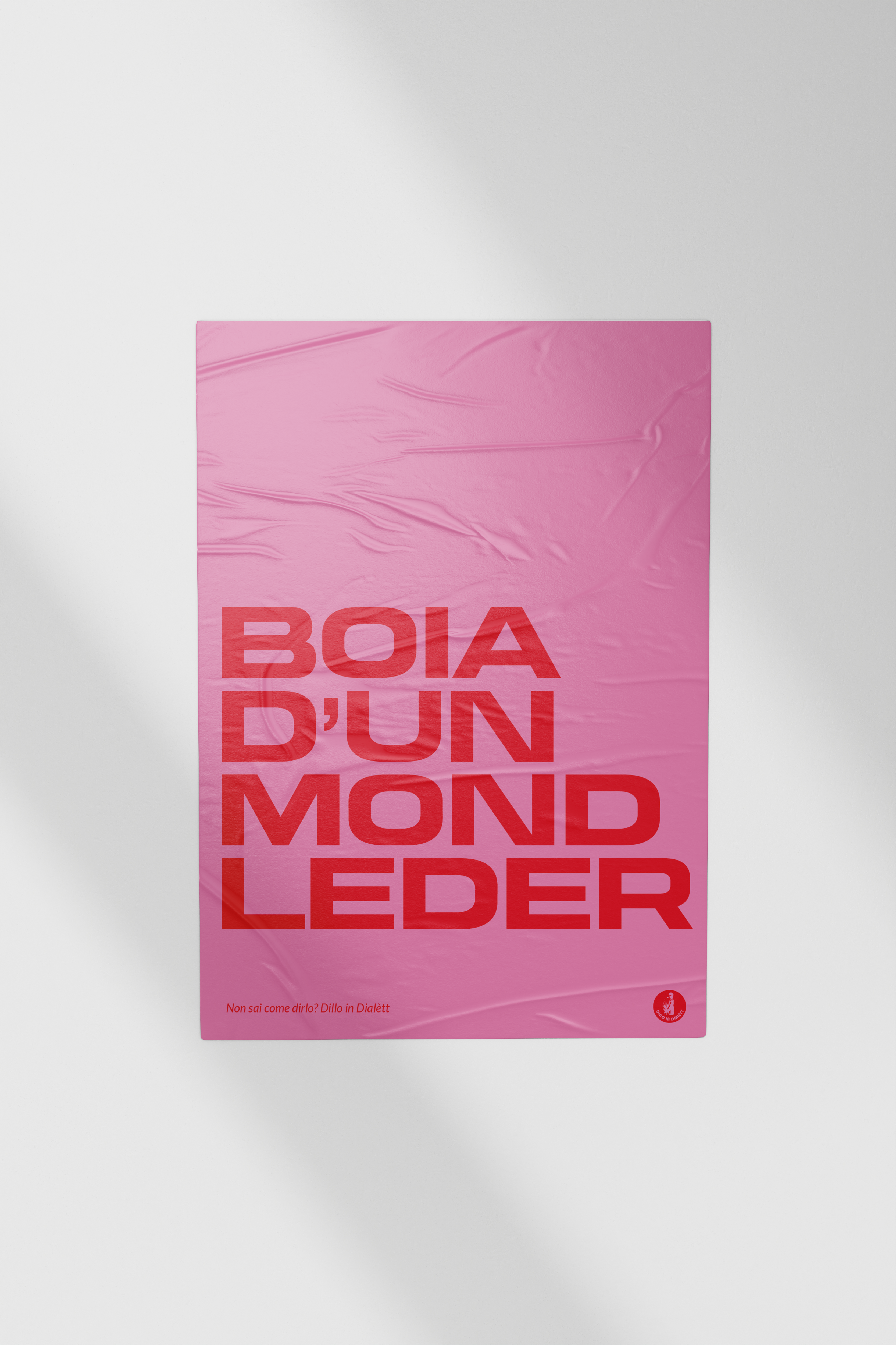 BOIA D'UN MOND LEDER